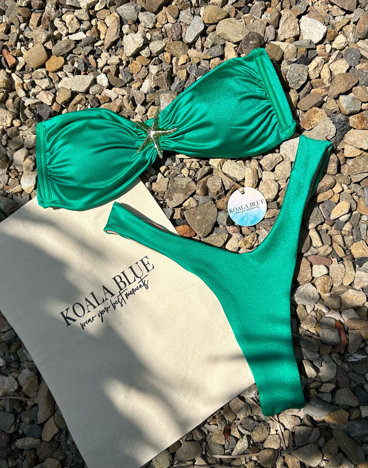 PALMA - VERDE